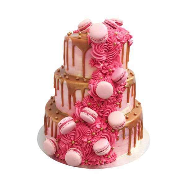 kisspng-wedding-cake-torte-frosting-icing-macaron-pink-cake-5ac7779beb9311.1341274715230217239649